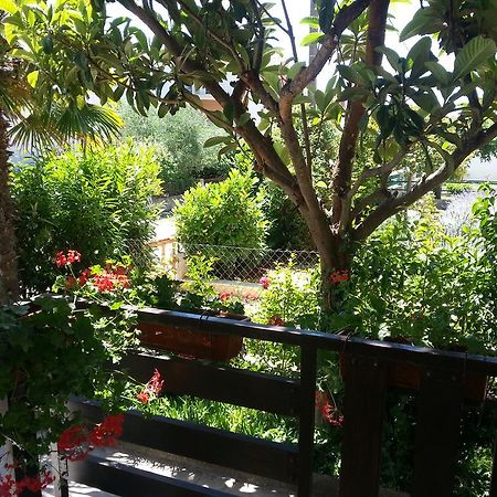 Apartment Perunika Zadar Zewnętrze zdjęcie