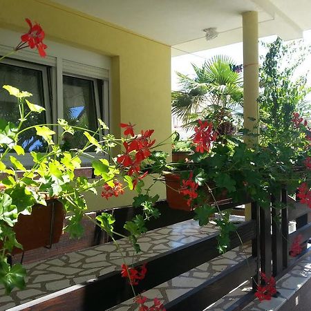 Apartment Perunika Zadar Zewnętrze zdjęcie