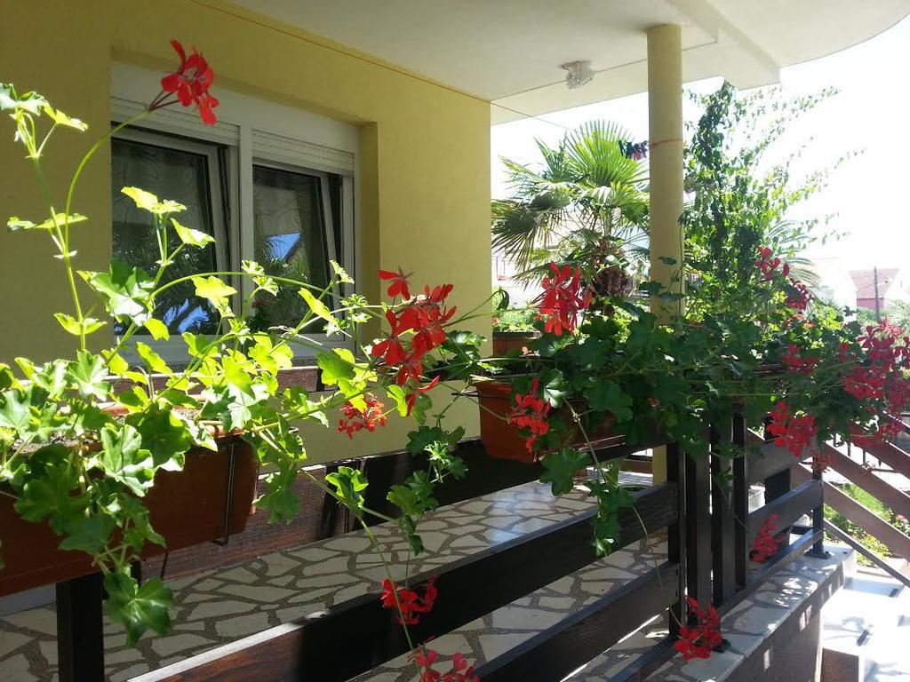 Apartment Perunika Zadar Zewnętrze zdjęcie